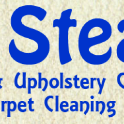 Carpet Cleaning System (Pty) Ltd t/a Mr Steam logo