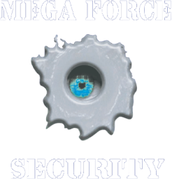 Mega Force Security