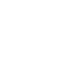 Allport George