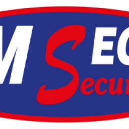 M Sec Security