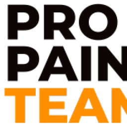 Pro Paint Teams