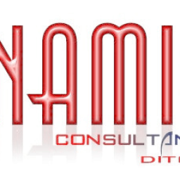 Dynamic IT Consultants (Pty) Ltd