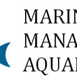 Custom Fish Tanks